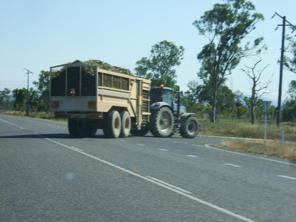 Tractor with its load of sugar cane luckily didn't go far along the highway