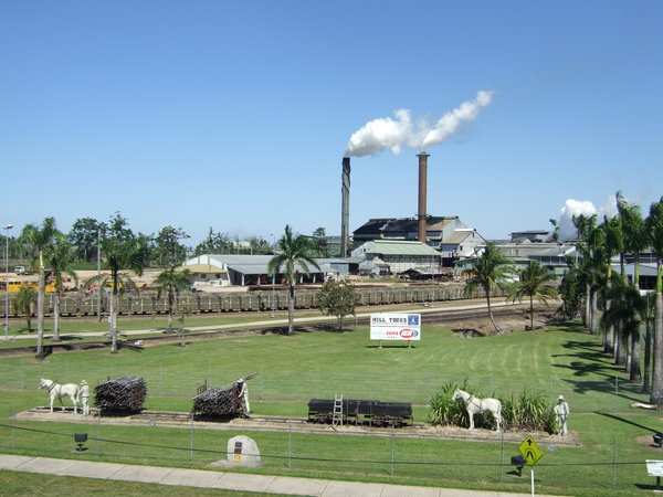 The sugar cane processing factory 