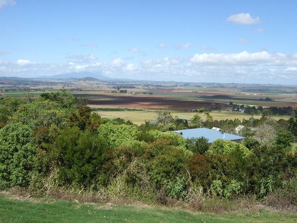 Looking down from Halloran's Hill
