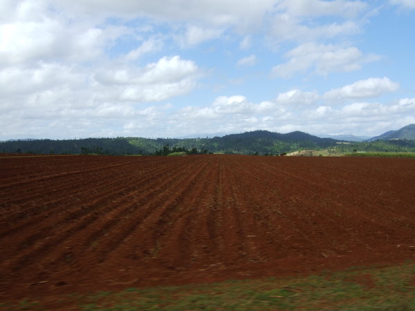 As we drove we noticed a change in the colour of the soil to this lovely deep red