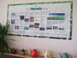The 'Nerada tea' story