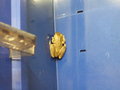 How long had this frog been in the bathroom cabinet in the ensuite facility?
