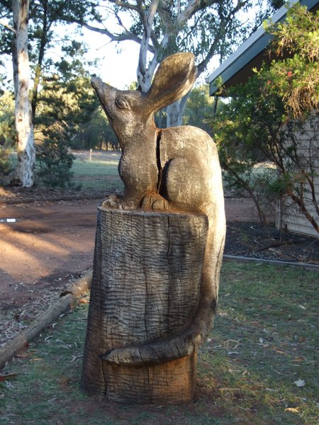 At the Bilby Centre, Charleville