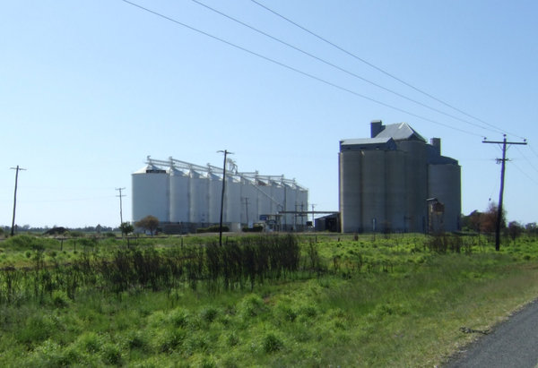 We passed huge grain silos especially around Dalby
