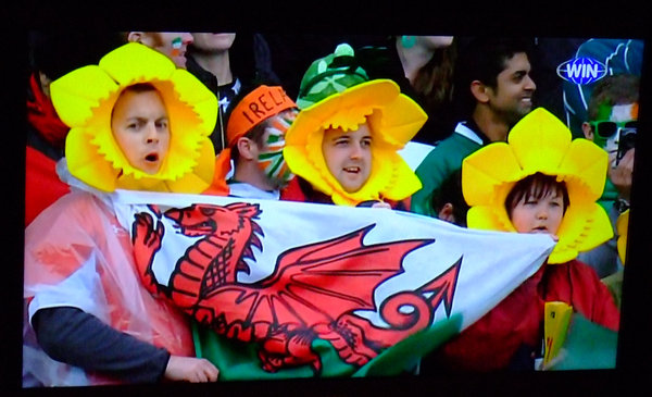 With fans like these, Wales deserve to win, don't they?