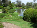 Cowra Japanese Garden - a wonderful, tranquil place