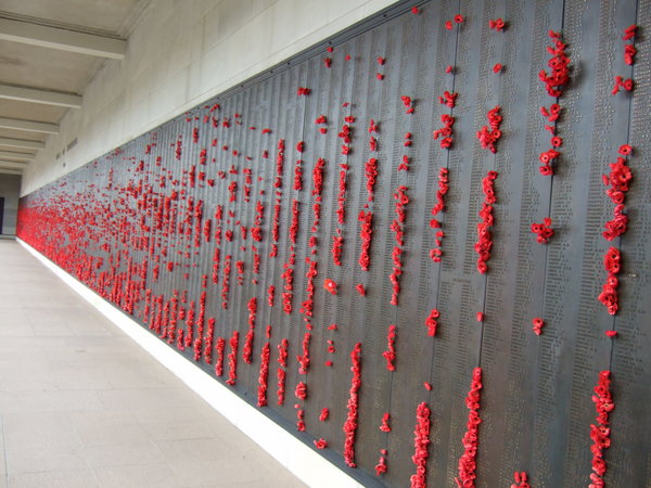  The Roll of Honour dotted with poppies