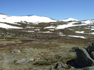 The summit of Mt Kosciuszko away in the distance