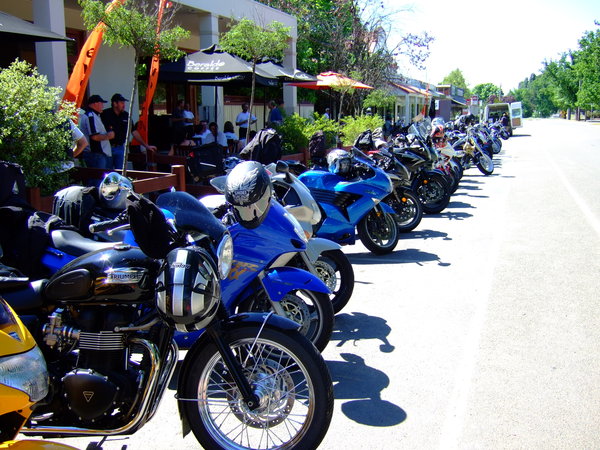 Lined up while their riders enjoyed some lunch and a drink