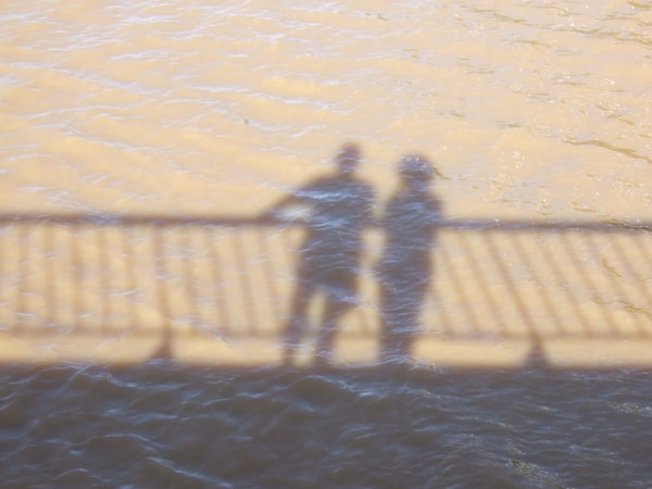 Shadows in the river