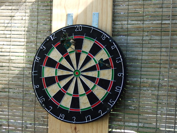 It took hours of practise but eventually I managed to get 4 darts in the '20' zone!