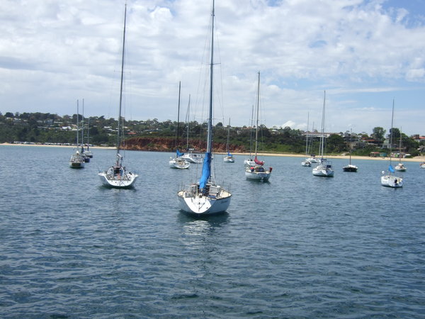 Line of yachts in Mornington harbour