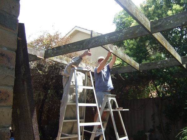 David with the help of Graham works to make the pergola safe