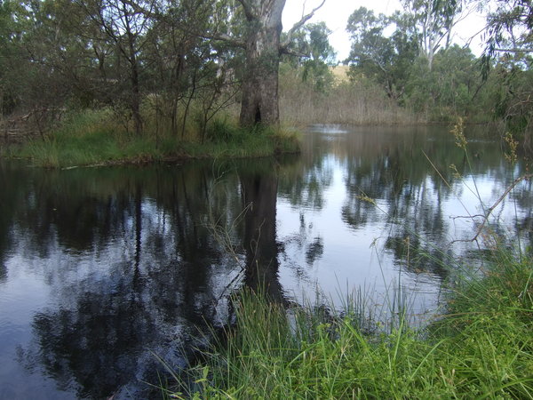 Yea wetlands - no platypus about today though