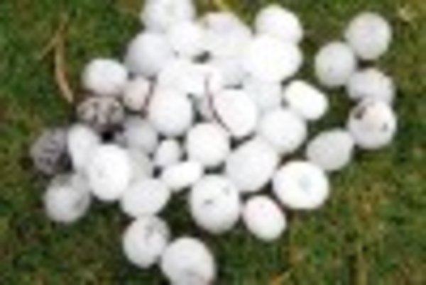 Newspaper photo of some of the huge hailstones that fell in Melbourne
