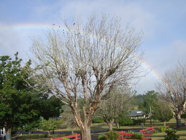 As the rain cleared a lovely rainbow developed over Tarraleah Village