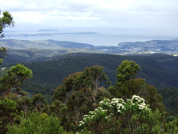 We had spectacular views as we drove up Mount Wellington