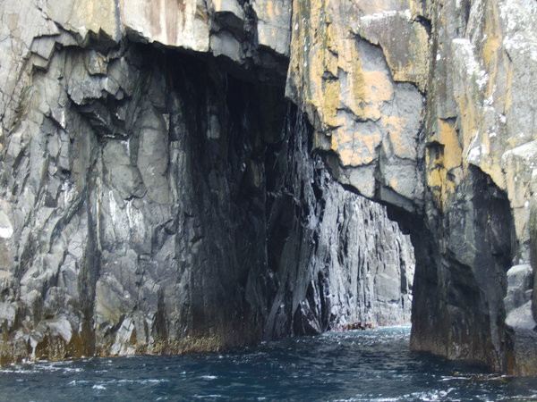 One of the many natural sea caves we got very close to
