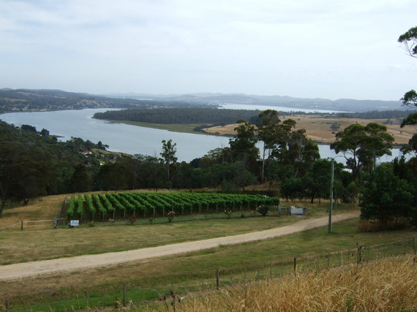 As we travelled north to Beauty Point we had some great views of the Tamar River