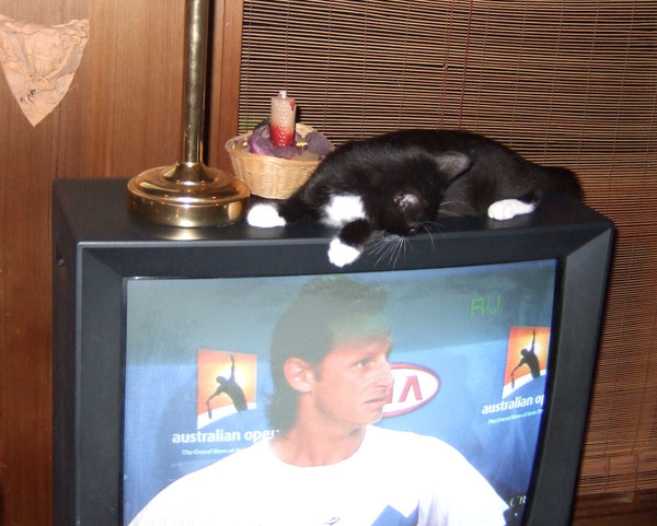 Micky obviously likes tennis as he watched David Nalbandian being interviewed!