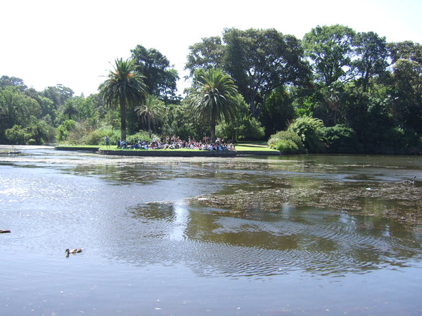 Crowds enjoying Australia Day in the beautiful setting of the Botanical Gardens