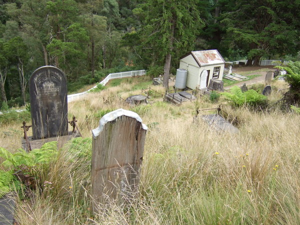 The cemetery is difficult to maintain so is very overgrown now but the headstones still tell their sad tales