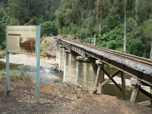 Thompson River Railway Bridge - completely restored by the Walhalla Goldfields Railway in 1994