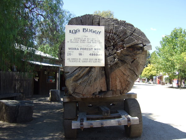 In Echuca's historic port - a log from Moira Forest which is just over the border in NSW