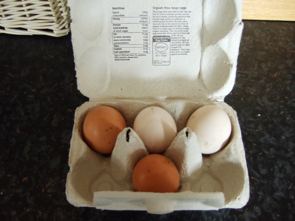 VERY fresh eggs - a welcome home gift from Jo, David, Patrick and Jonathan