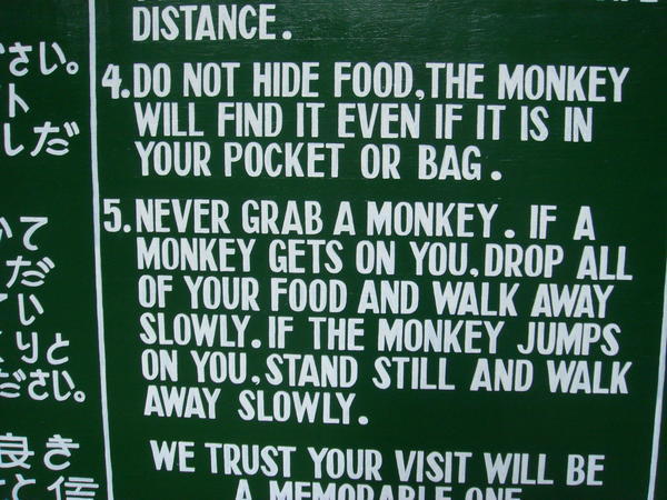 In The Sacred Monkey Forest!!!!