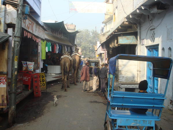 Back Streets Of Agra...