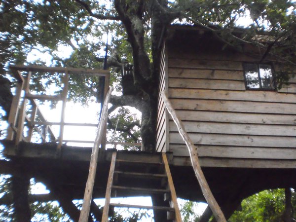 EarthLodge treehouse