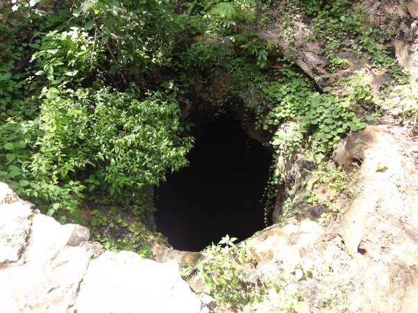 cenote top looking down