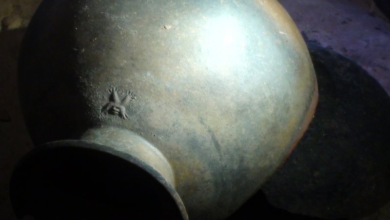 preserved pot