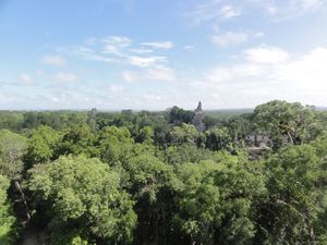 View from top of temple V