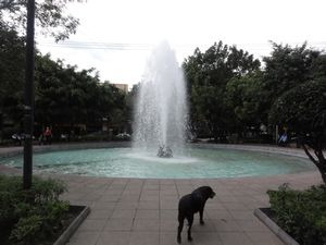 Park in Condesa