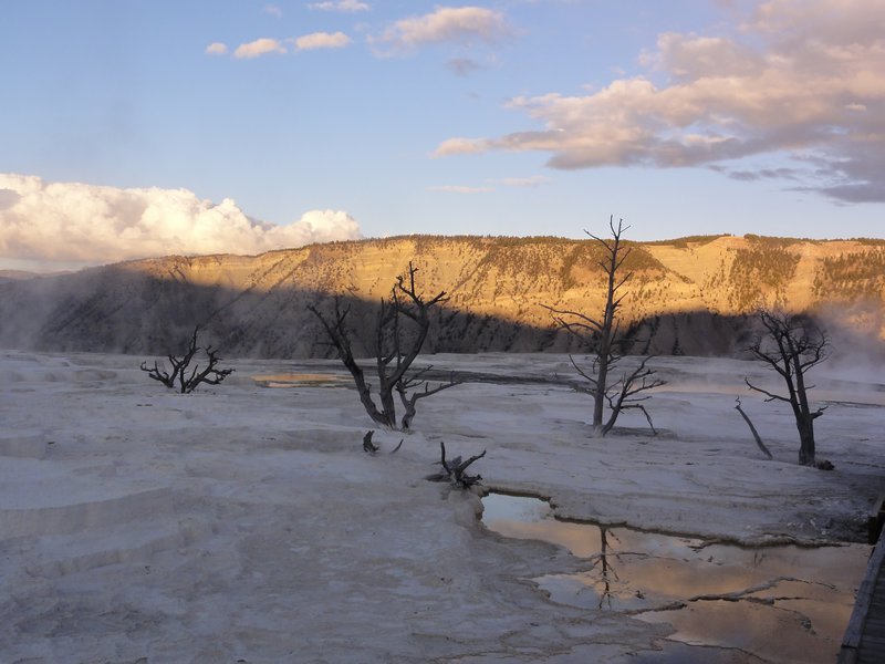 Mammoth springs