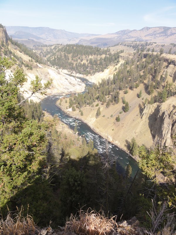 Yellowstone River - Canyon Gorge