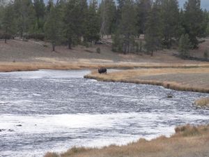 firehole river