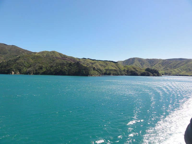 Arriving at Picton