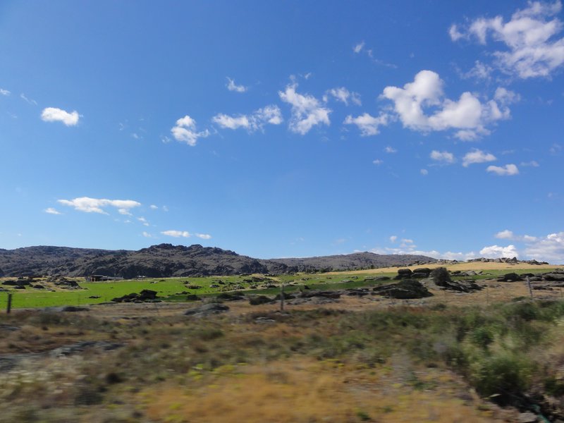 Otago region