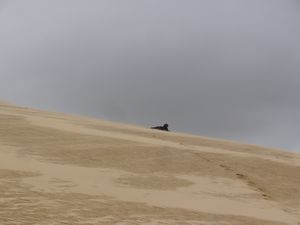 Jill sand boarding the sand dunes