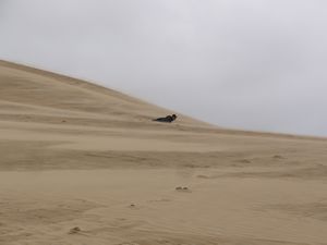 Me-  Paki stream - sand dunes