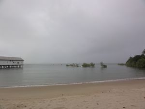 Port Douglas Beach