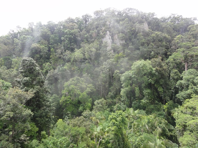 Skyrail to Kuranda - rainforest clouds