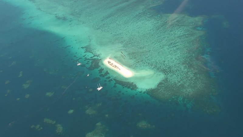 Sand bank beside Small island beside Michaelmas Reef