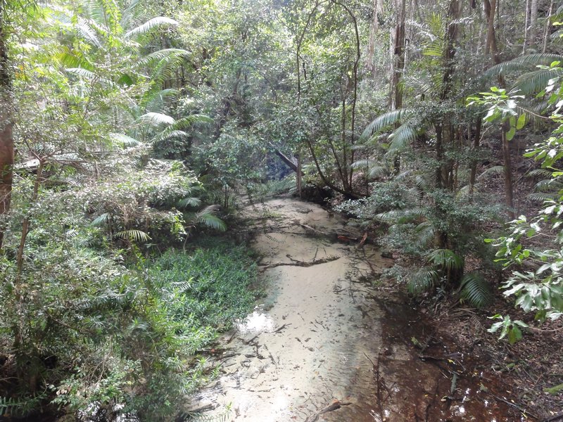 Wanggoolba Creek stream