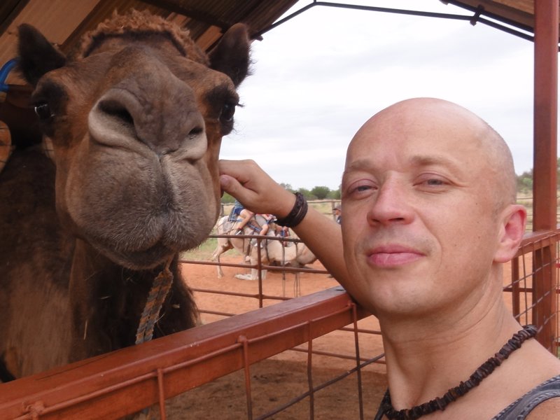 Camel @ Camel Farm
