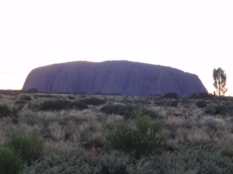 Mount Uluru - 6am