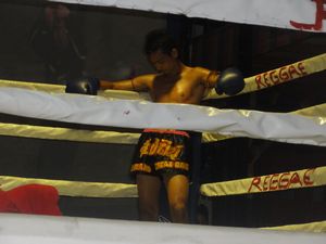 Thai Boxer